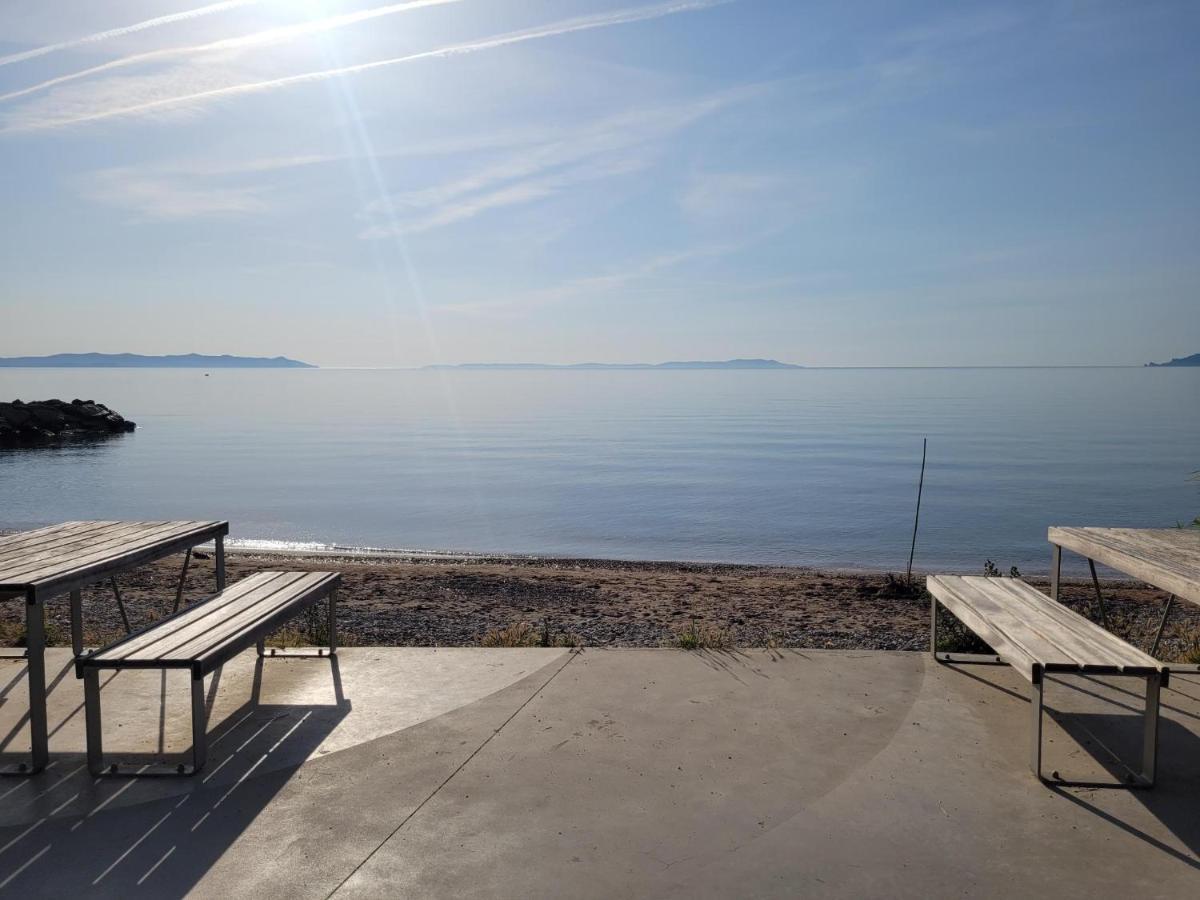 Apartament T2 Bord De Mer - Les Embruns Hyères Zewnętrze zdjęcie